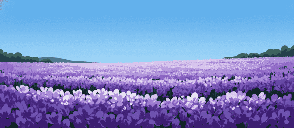 Un voyage au coeur de la Provence