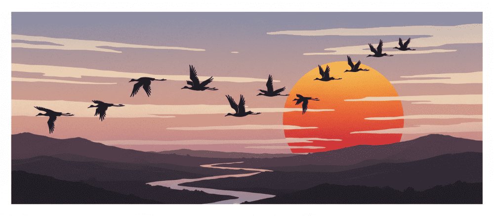 Het mysterie van de vogelreis