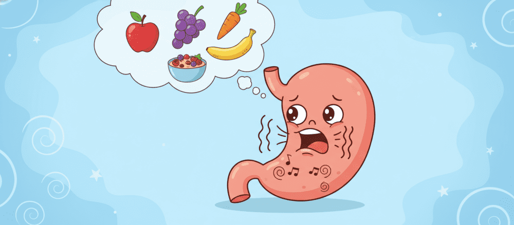 体[からだ] は なぜ お腹[なか] が すく の ？