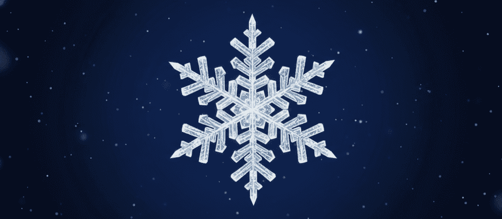 IJskristallen in de winter