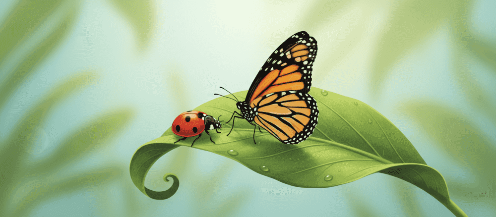 Los insectos del jardín