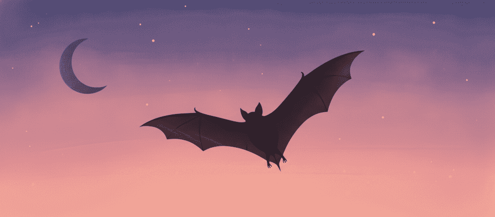 Le rôle essentiel des chauves-souris dans la nature