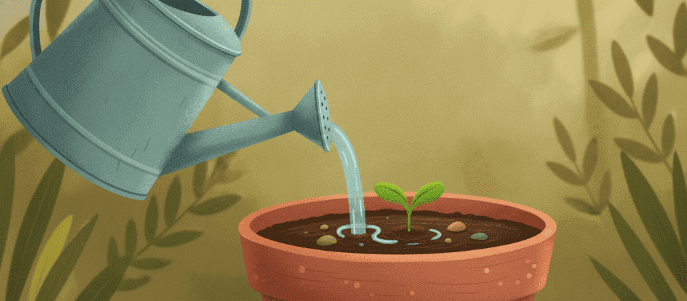 Perché le piante hanno bisogno d'acqua?